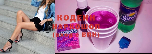 Альфа ПВП Верея