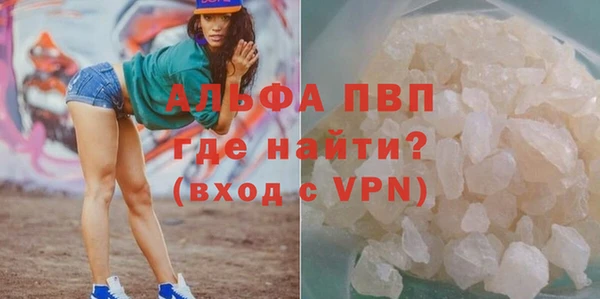 Альфа ПВП Верея