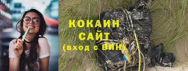 Альфа ПВП Верея