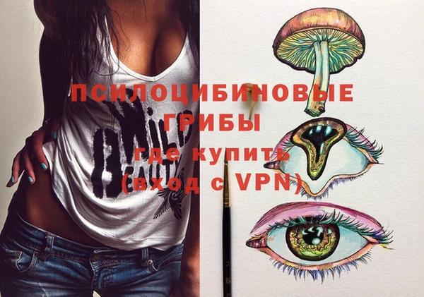 Альфа ПВП Верея