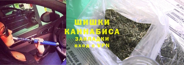 Альфа ПВП Верея